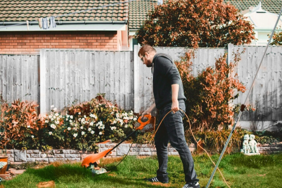 The How, What, and When of Fall Lawn Preparation